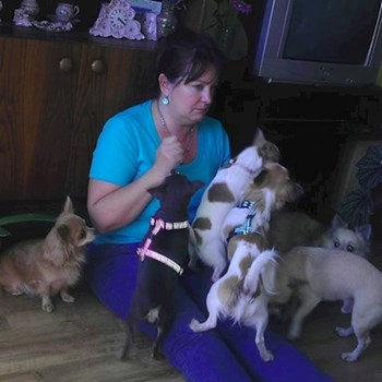 thumbnail petsitter Kozolupy or pet nanny for dogs cats