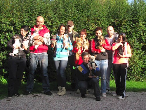 Šárka- petsitter Kozolupy or Pet nanny for dogs cats