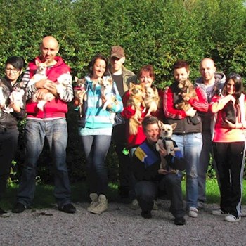 thumbnail petsitter Kozolupy or pet nanny for dogs cats