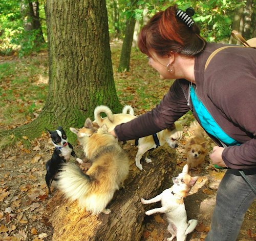 Šárka- petsitter Kozolupy or Pet nanny for dogs cats