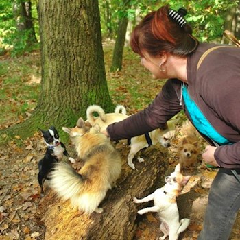 thumbnail petsitter Kozolupy or pet nanny for dogs cats