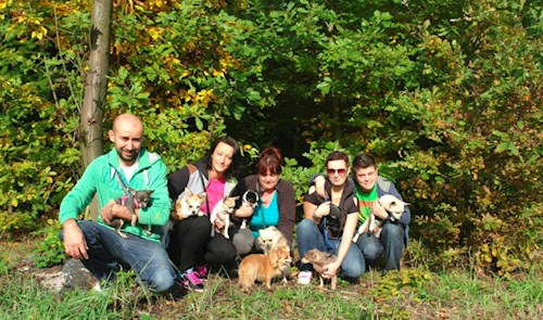 Šárka- petsitter Kozolupy or Pet nanny for dogs cats