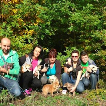 thumbnail petsitter Kozolupy or pet nanny for dogs cats