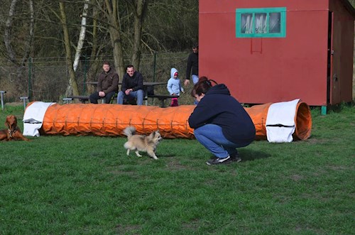 Šárka- petsitter Kozolupy or Pet nanny for dogs cats