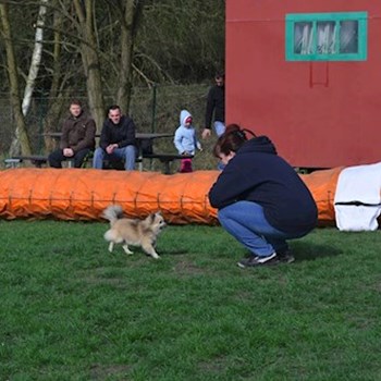 thumbnail petsitter Kozolupy or pet nanny for dogs cats