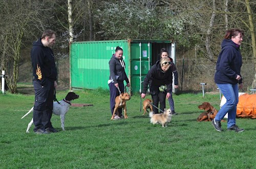 Šárka- petsitter Kozolupy or Pet nanny for dogs cats