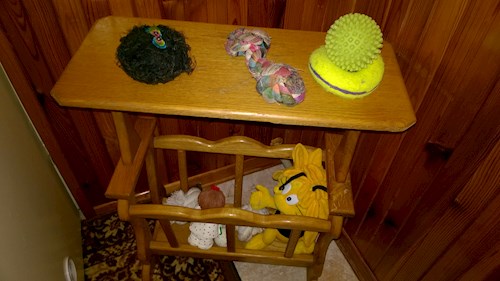 Lenka- petsitter Hrušovany nad Jevišovkou or Pet nanny for