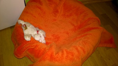 Lenka- petsitter Hrušovany nad Jevišovkou or Pet nanny for