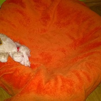 thumbnail petsitter Hrušovany nad Jevišovkou or pet nanny for