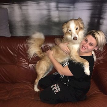 thumbnail petsitter Kařez nebo páníček pro psi