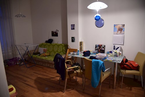 Adéla- petsitter Karlovy Vary or Pet nanny for