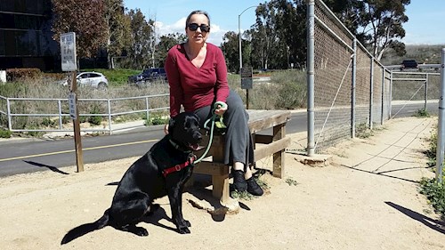 Radka- petsitter Orlova or Pet nanny for