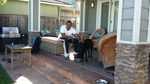 Radka- petsitter Orlova or Pet nanny for