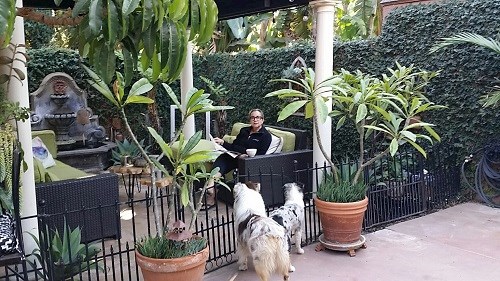 Radka- petsitter Orlova or Pet nanny for