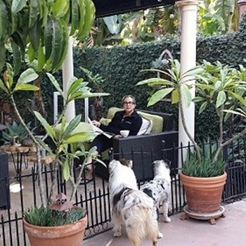 thumbnail petsitter Orlova or pet nanny for