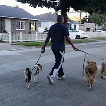 thumbnail petsitter Orlova or pet nanny for