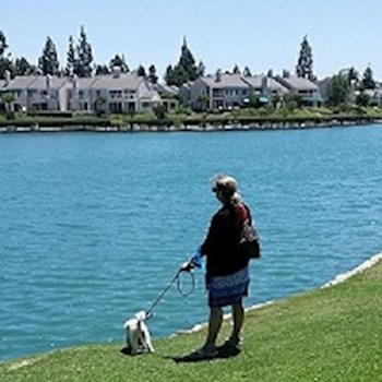 thumbnail petsitter Orlova or pet nanny for