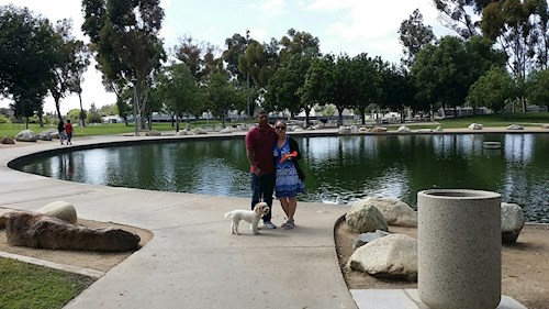 Radka- petsitter Orlova or Pet nanny for