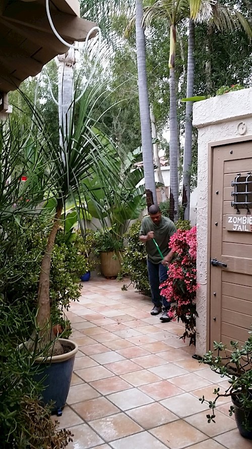 Radka- petsitter Orlova or Pet nanny for