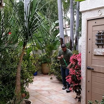 thumbnail petsitter Orlova or pet nanny for