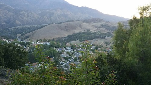 Radka- petsitter Orlova or Pet nanny for