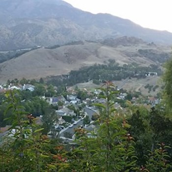 thumbnail petsitter Orlova or pet nanny for