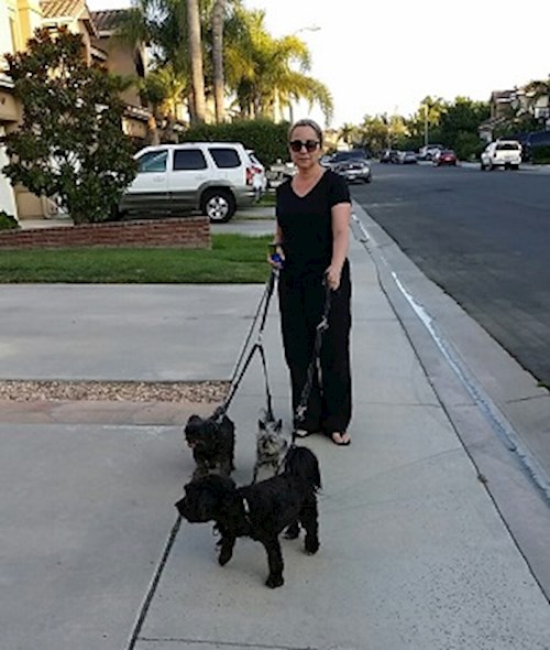 Radka- petsitter Orlova or Pet nanny for