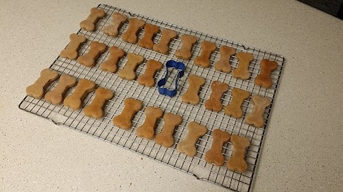 Radka- petsitter Orlova or Pet nanny for