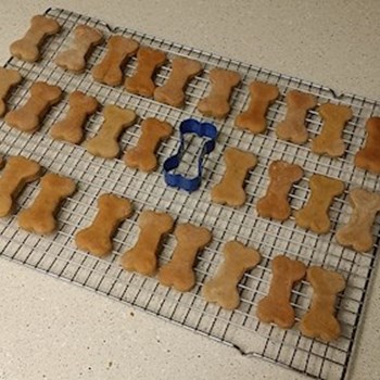 thumbnail petsitter Orlova or pet nanny for