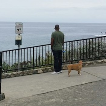 thumbnail petsitter Orlova or pet nanny for