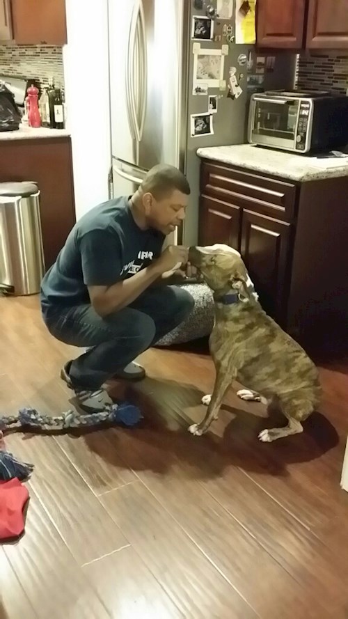 Radka- petsitter Orlova or Pet nanny for