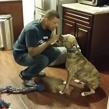 thumbnail petsitter Orlova or pet nanny for