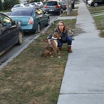 thumbnail petsitter Orlova or pet nanny for