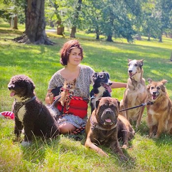 thumbnail petsitter Prague nebo páníček pro psi