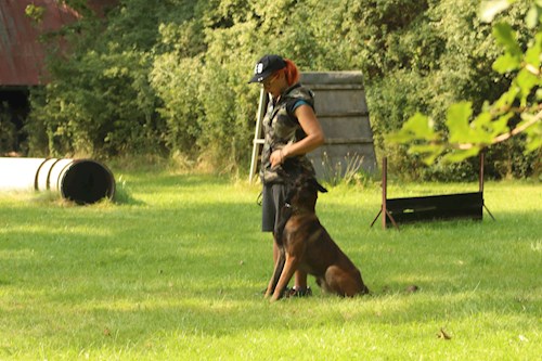 Michaela- petsitter Čeperka nebo Páníček pro psi kočky
