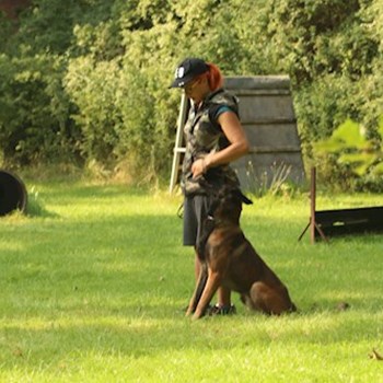 thumbnail petsitter Čeperka nebo páníček pro psi kočky