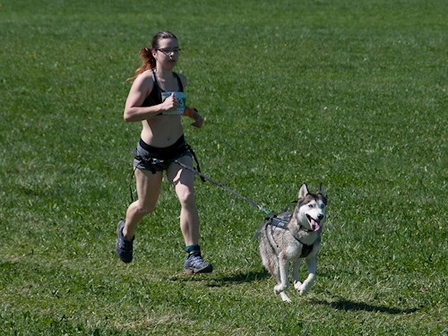 Michaela- petsitter Čeperka nebo Páníček pro psi kočky