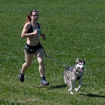 thumbnail petsitter Čeperka nebo páníček pro psi kočky