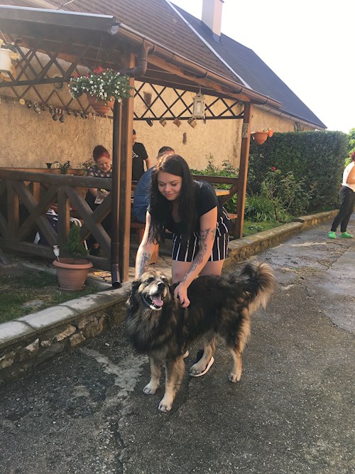 Alexandra- petsitter 15000 nebo Páníček pro psi kočky