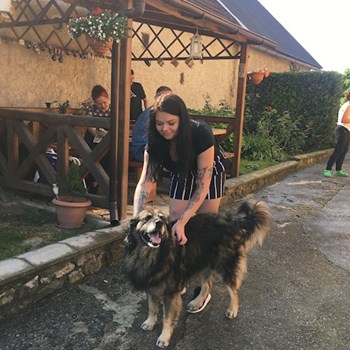 thumbnail petsitter 15000 nebo páníček pro psi kočky