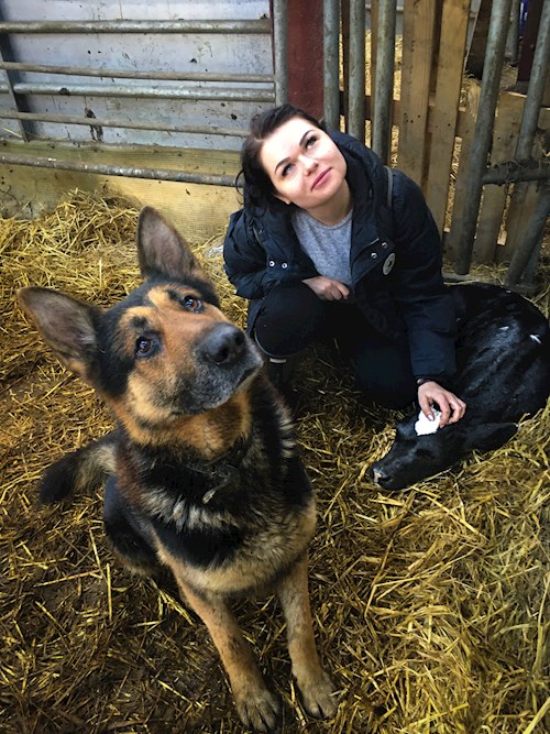 Alexandra- petsitter 15000 nebo Páníček pro psi kočky