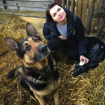 thumbnail petsitter 15000 nebo páníček pro psi kočky