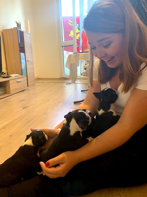 Tatiana- petsitter Praha nebo Páníček pro psi kočky