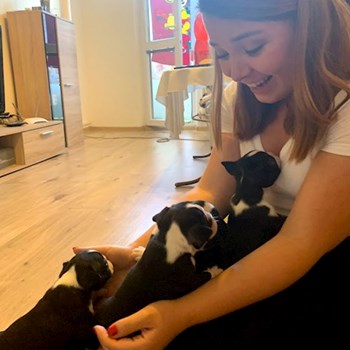 thumbnail petsitter Praha nebo páníček pro psi kočky