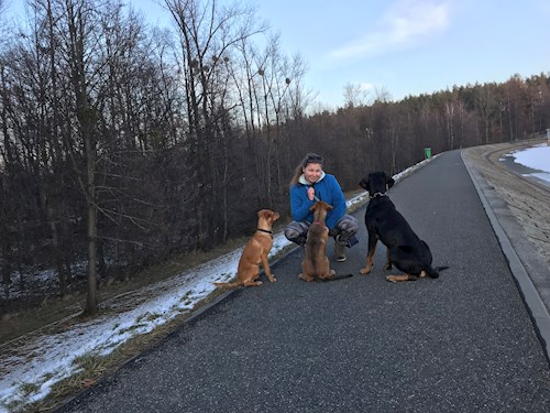 Veronika- petsitter Ostrava nebo Páníček pro psi kočky