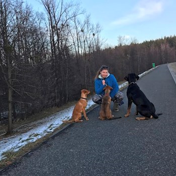 thumbnail petsitter Ostrava nebo páníček pro psi kočky