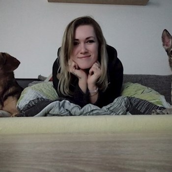  thumbnail petsitter Hradec Králové or pet nanny for dogs cats 
