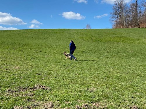 Yosif- petsitter Liberec nebo Páníček pro psi kočky