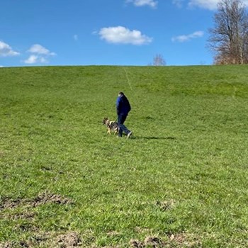 thumbnail petsitter Liberec nebo páníček pro psi kočky