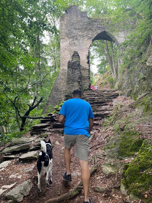 Yosif- petsitter Liberec nebo Páníček pro psi kočky